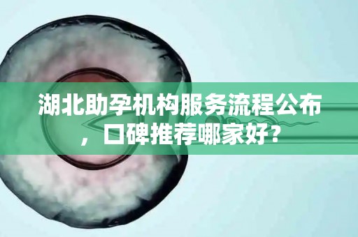 湖北助孕机构服务流程公布，口碑推荐哪家好？