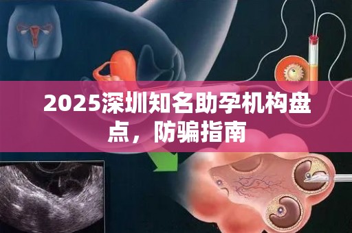 2025深圳知名助孕机构盘点，防骗指南