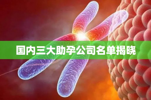 国内三大助孕公司名单揭晓