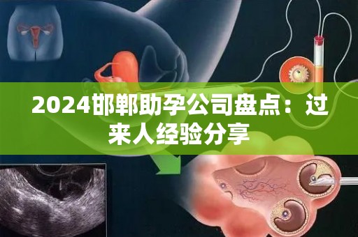 2024邯郸助孕公司盘点：过来人经验分享
