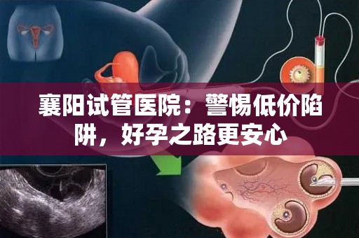 襄阳试管医院：警惕低价陷阱，好孕之路更安心