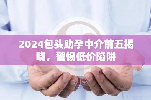 2024包头助孕中介前五揭晓，警惕低价陷阱