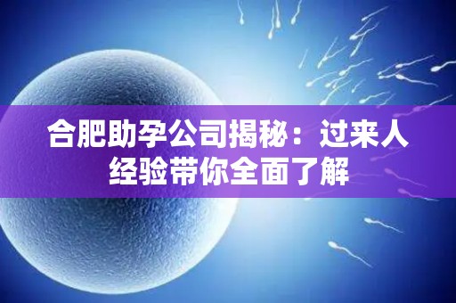 合肥助孕公司揭秘：过来人经验带你全面了解