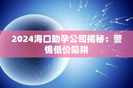 2024海口助孕公司揭秘：警惕低价陷阱