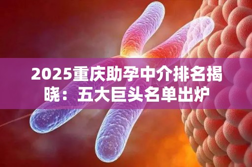 2025重庆助孕中介排名揭晓：五大巨头名单出炉