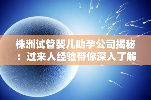 株洲试管婴儿助孕公司揭秘：过来人经验带你深入了解
