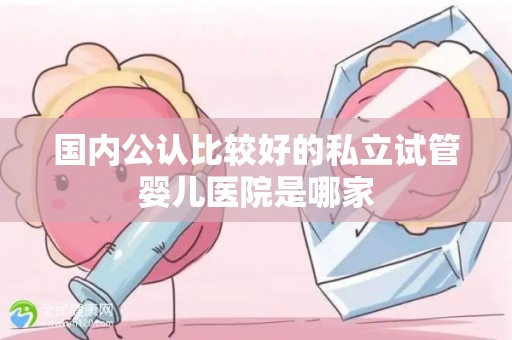 国内公认比较好的私立试管婴儿医院是哪家