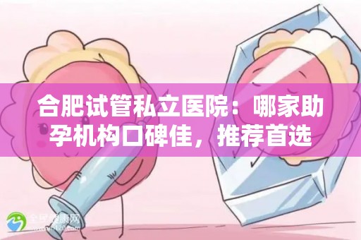 合肥试管私立医院：哪家助孕机构口碑佳，推荐首选