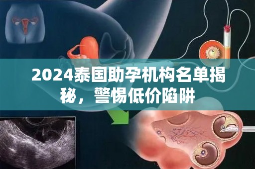 2024泰国助孕机构名单揭秘，警惕低价陷阱
