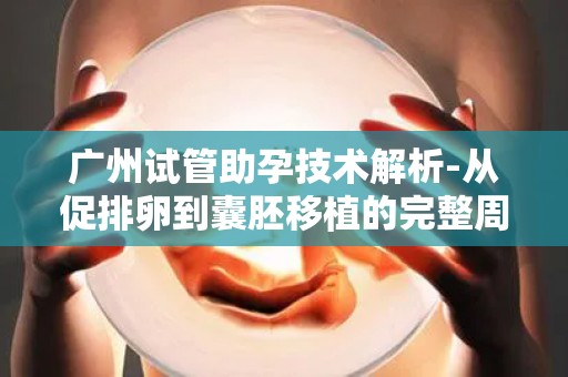 广州试管助孕技术解析-从促排卵到囊胚移植的完整周期指南!