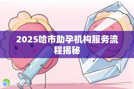 2025哈市助孕机构服务流程揭秘