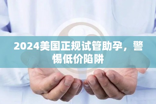 2024美国正规试管助孕，警惕低价陷阱