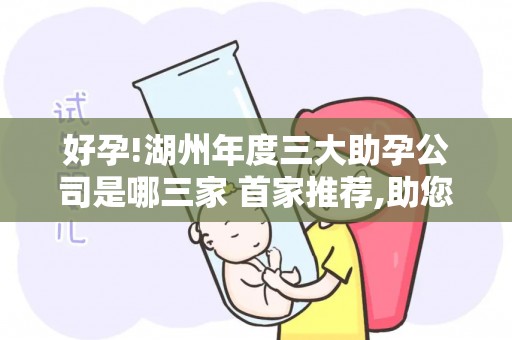 好孕!湖州年度三大助孕公司是哪三家 首家推荐,助您省钱省心