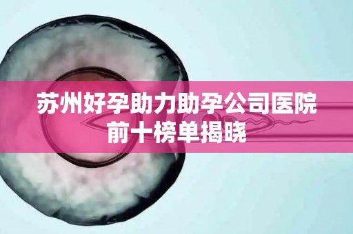 苏州好孕助力助孕公司医院前十榜单揭晓