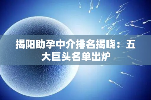 揭阳助孕中介排名揭晓：五大巨头名单出炉