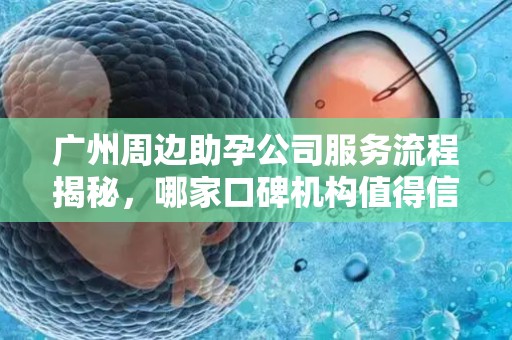 广州周边助孕公司服务流程揭秘，哪家口碑机构值得信赖推荐？