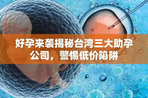 好孕来袭揭秘台湾三大助孕公司，警惕低价陷阱