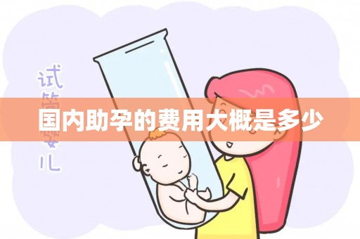 国内助孕的费用大概是多少