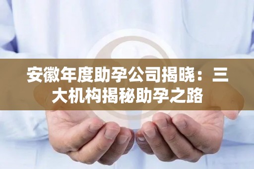 安徽年度助孕公司揭晓：三大机构揭秘助孕之路