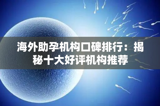 海外助孕机构口碑排行：揭秘十大好评机构推荐
