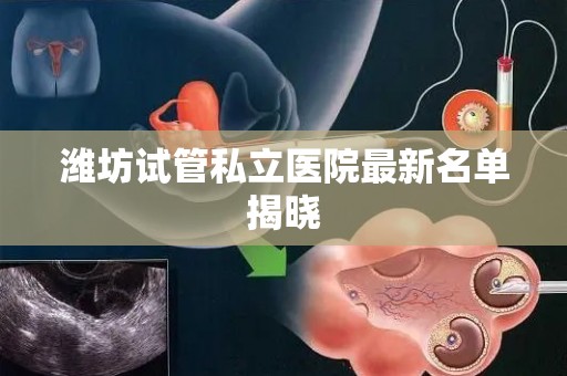 潍坊试管私立医院最新名单揭晓