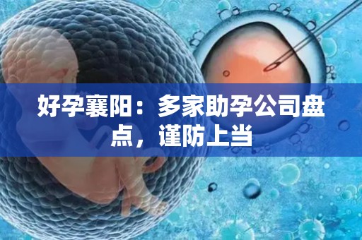 好孕襄阳：多家助孕公司盘点，谨防上当