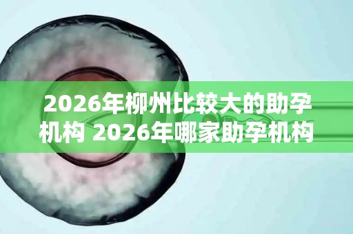 2026年柳州比较大的助孕机构 2026年哪家助孕机构口碑好值得考虑？