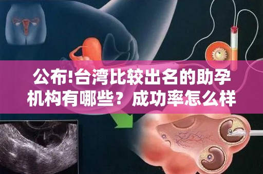 公布!台湾比较出名的助孕机构有哪些？成功率怎么样？