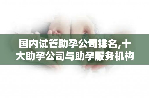 国内试管助孕公司排名,十大助孕公司与助孕服务机构全面解析