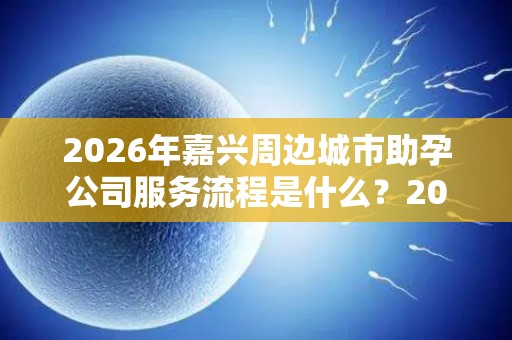 2026年嘉兴周边城市助孕公司服务流程是什么？2026版排名揭晓!