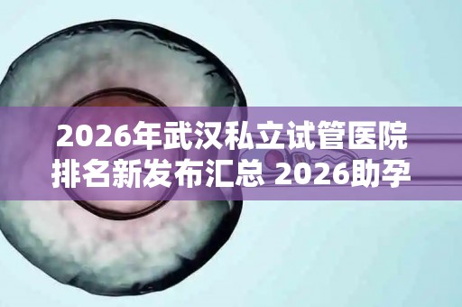 2026年武汉私立试管医院排名新发布汇总 2026助孕机构、赫然在列