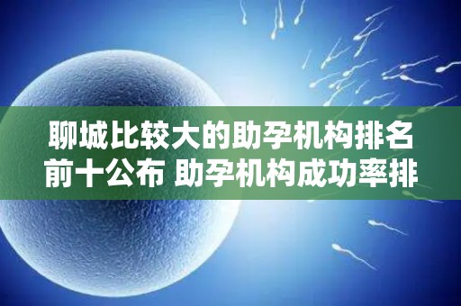 聊城比较大的助孕机构排名前十公布 助孕机构成功率排名分享