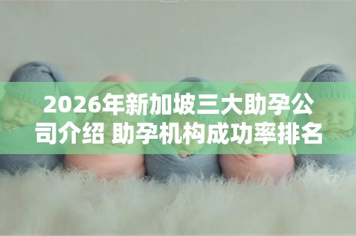 2026年新加坡三大助孕公司介绍 助孕机构成功率排名分享