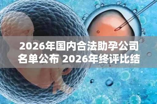 2026年国内合法助孕公司名单公布 2026年终评比结果