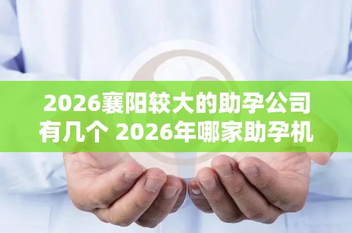 2026襄阳较大的助孕公司有几个 2026年哪家助孕机构口碑好值得考虑？