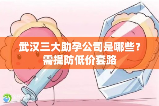 武汉三大助孕公司是哪些？需提防低价套路