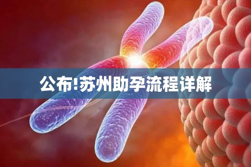 公布!苏州助孕流程详解