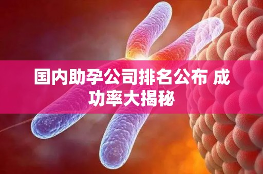 国内助孕公司排名公布 成功率大揭秘