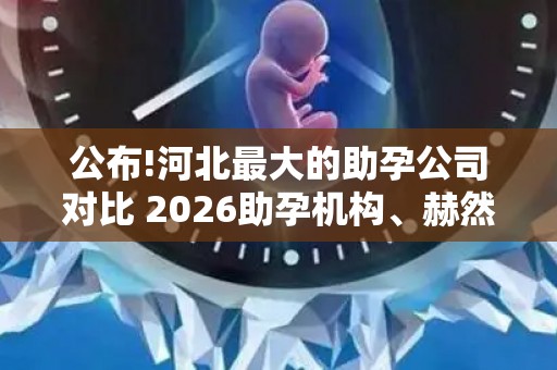 公布!河北最大的助孕公司对比 2026助孕机构、赫然在列