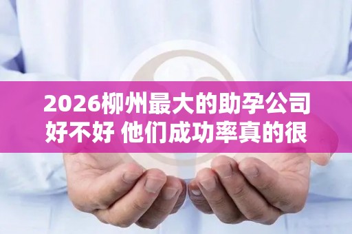 2026柳州最大的助孕公司好不好 他们成功率真的很高吗？