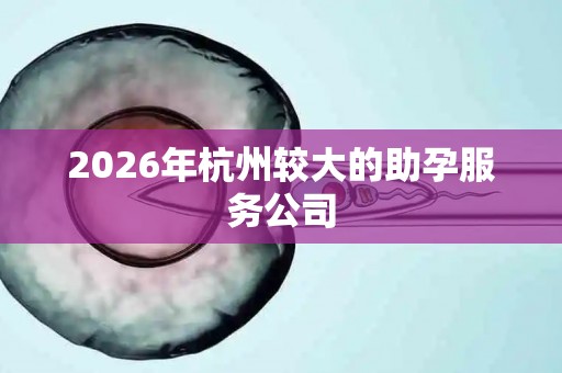 2026年杭州较大的助孕服务公司
