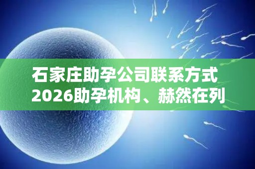 石家庄助孕公司联系方式 2026助孕机构、赫然在列