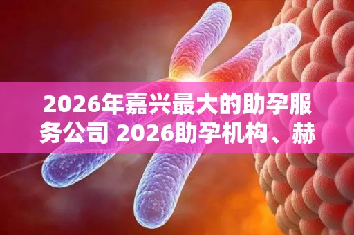 2026年嘉兴最大的助孕服务公司 2026助孕机构、赫然在列
