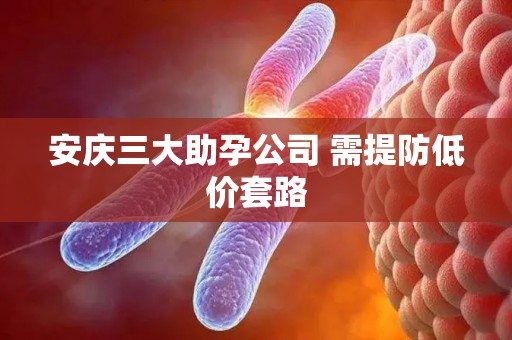 安庆三大助孕公司 需提防低价套路