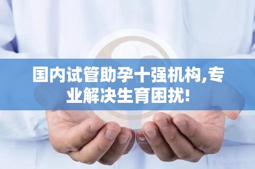 国内试管助孕十强机构,专业解决生育困扰!