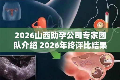 2026山西助孕公司专家团队介绍 2026年终评比结果