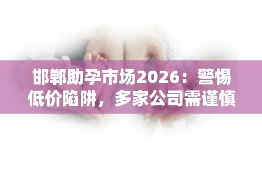 邯郸助孕市场2026：警惕低价陷阱，多家公司需谨慎