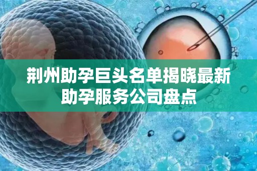 荆州助孕巨头名单揭晓最新助孕服务公司盘点