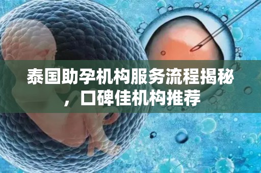 泰国助孕机构服务流程揭秘，口碑佳机构推荐