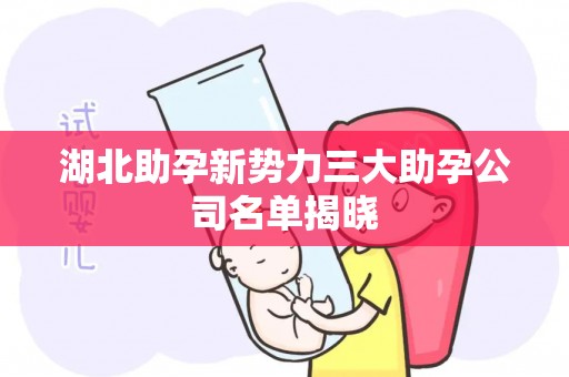 湖北助孕新势力三大助孕公司名单揭晓